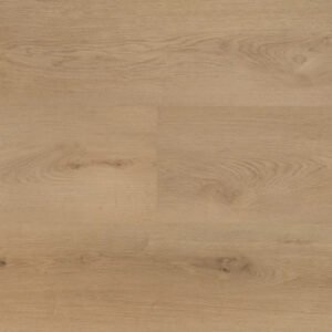 Clermont XL Shelf - Dryback (54821)