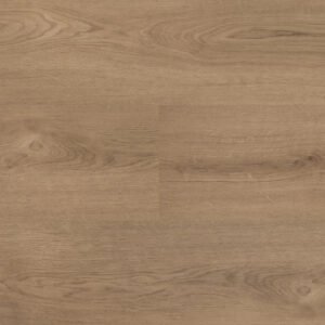 Clermont XL Shelf - Dryback (54824)