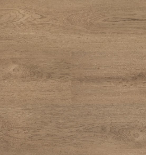 Clermont XL Shelf - Dryback (54824)